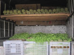 四川中江縣優(yōu)質(zhì)新鮮韭黃批量供應(yīng)，誠邀批發(fā)商合作