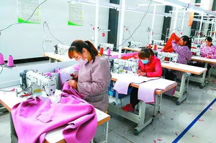 丹陽聯村黨委實踐 圍繞主導產業發展集體經濟，提升農副產品競爭力