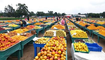 農副產品集市 連接田園與餐桌的綠色橋梁