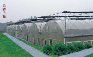 龍巖溫室大棚 科技賦能農副產品，世界工廠網助力產業騰飛